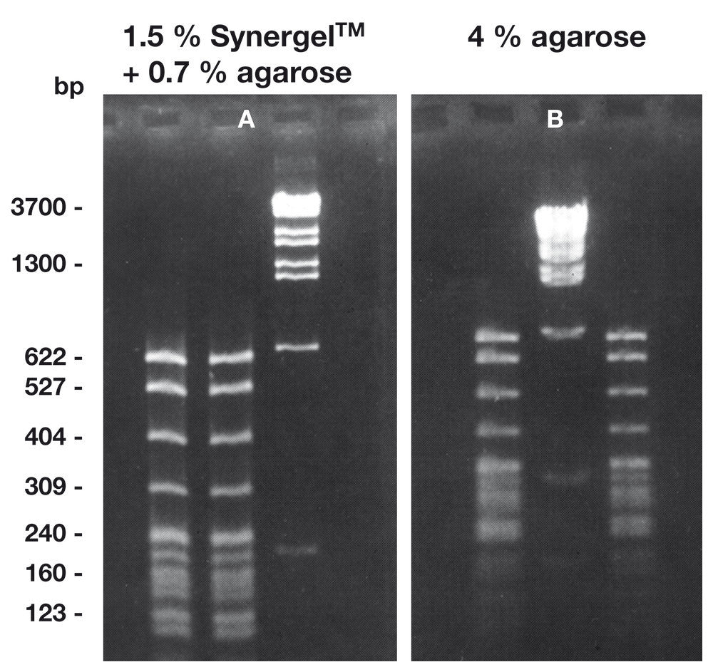 Synergel TM, min. 99 %, for gel electrophoresis, 10 g, plastic - Luminix Health