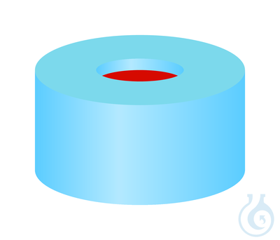 SR N11-H,lbl,s,PTFEr/Sil w/PTFEr,50° 1.0