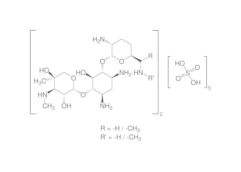 Gentamycin sulphate, min. 590 I.U./mg, for biochemistry, 1 g, glass - Luminix Health