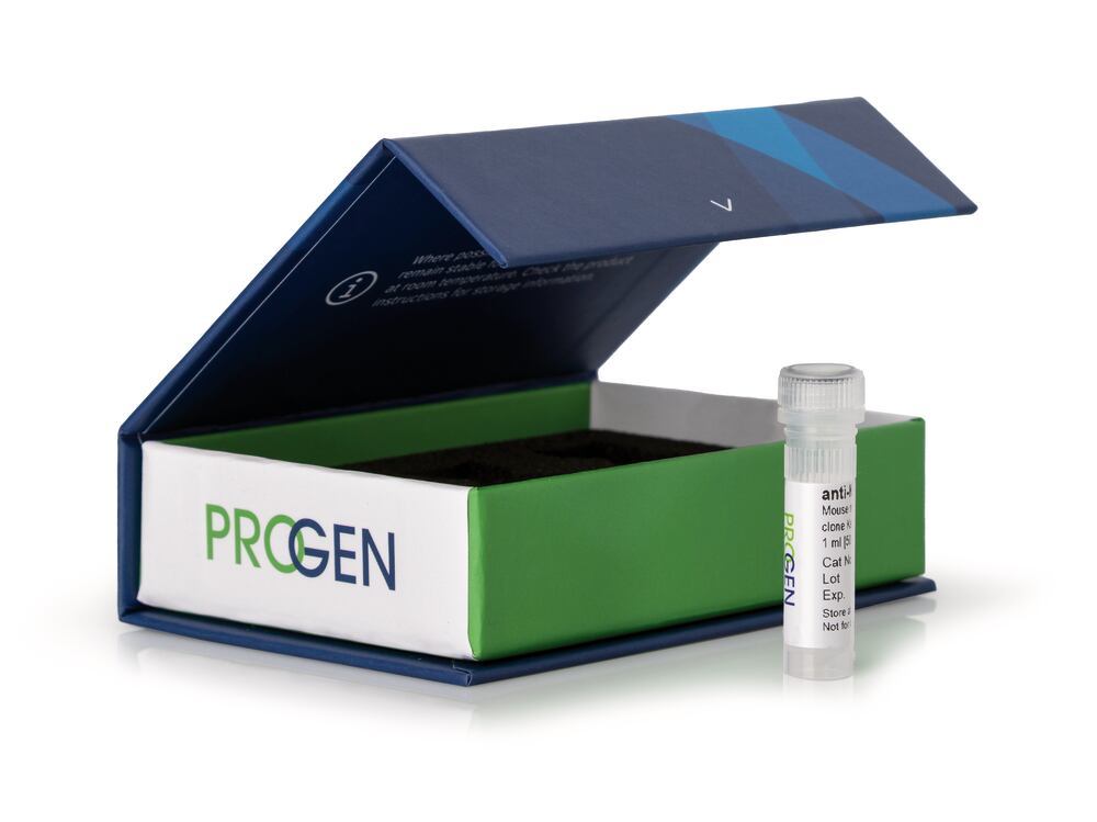 anti-beta-actin, clone AC-15,, mouse monoclonal, 0.2 ml, plastic - Luminix Health
