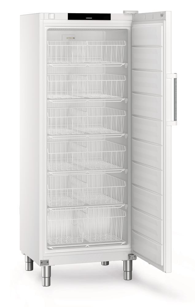 Freezer Performance FFFsg 6501, 332 l, H 2018 mm, -9 to -26 °C, , 1 unit(s) - Luminix Health