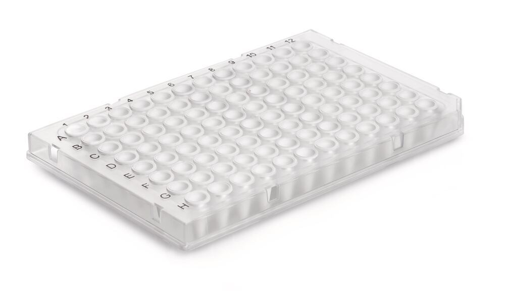 Rigid frame 96 well PCR plate, Standard, transparent, whole frame, 50 unit(s) - Luminix Health