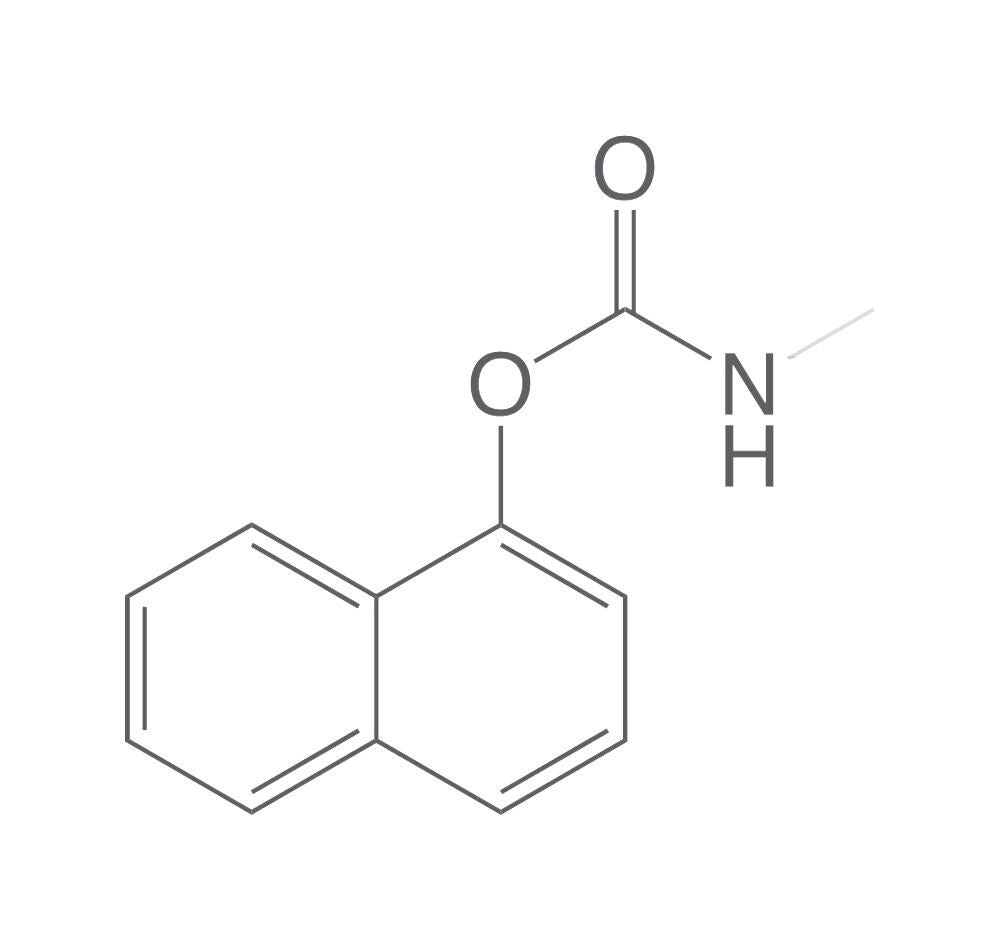 Carbaryl, ROTICHROM® Pestilyse® HPLC, 250 mg, glass - Luminix Health