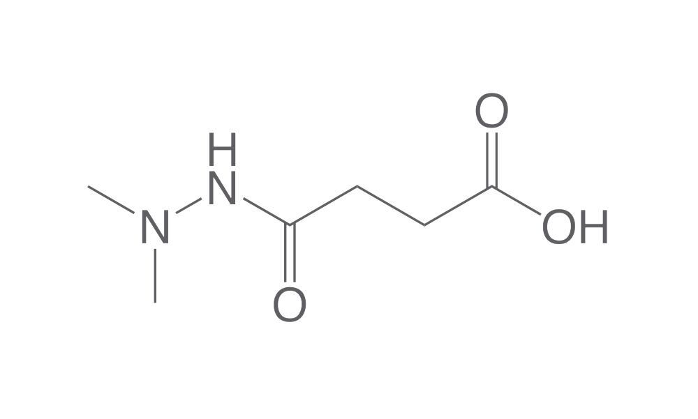 Daminozide, ROTICHROM® Pestilyse® HPLC, 100 mg, glass - Luminix Health