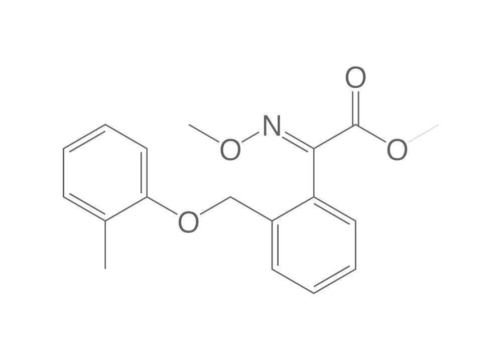 Kresoxim-methyl, ROTICHROM® Pestilyse® HPLC, 100 mg, glass - Luminix Health