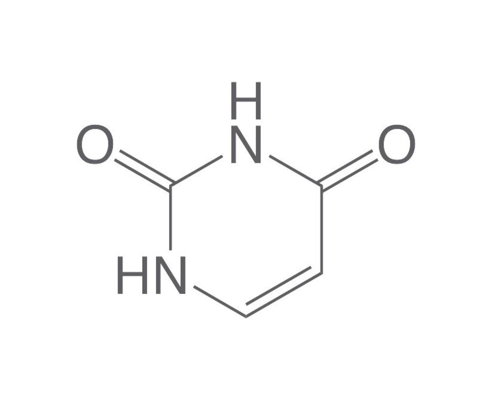 Uracil, ROTICHROM® Pestilyse® HPLC, 500 mg, glass - Luminix Health
