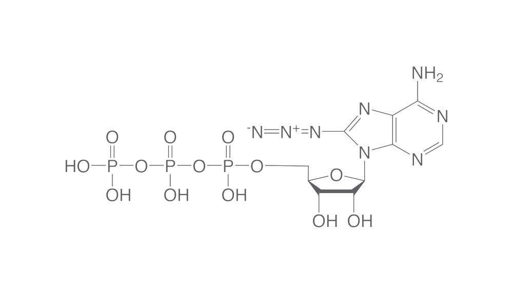 8-Azido-ATP, min. 95 %, 10 µl, plastic - Luminix Health