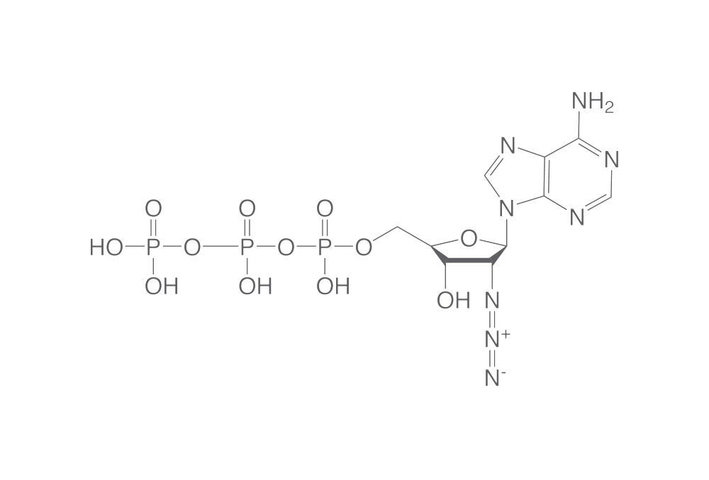 2'-Azido-2'-dATP, min. 95 %, 10 µl, plastic - Luminix Health