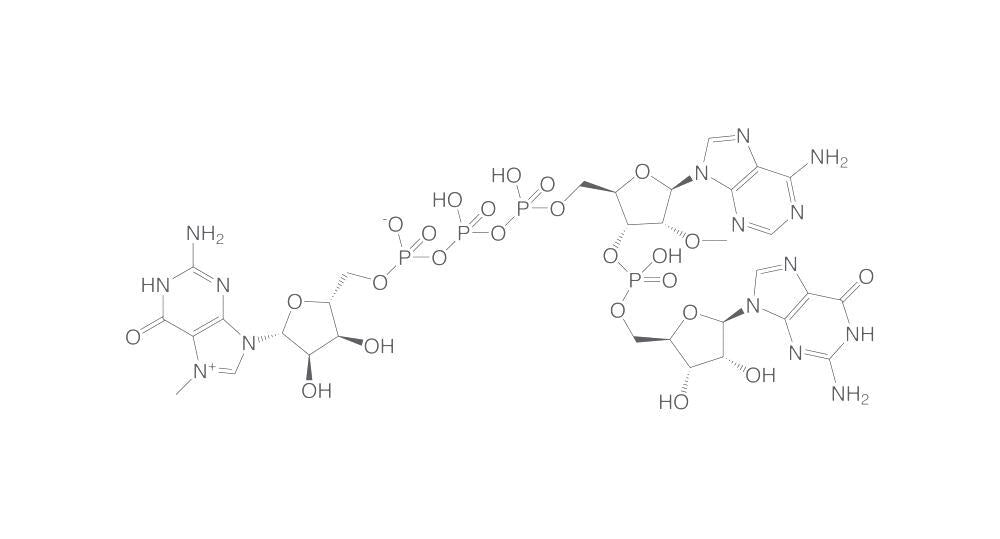 Clean Cap, min. 95 %, 10 µl, plastic - Luminix Health