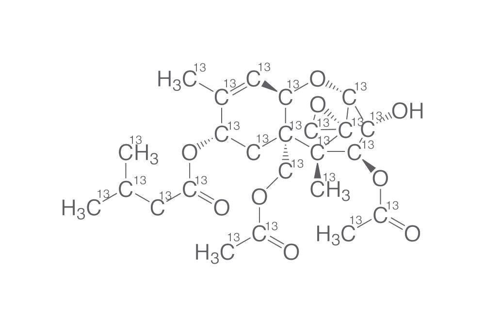 13C24-T-2 Toxin, 25 µg/ml in acetonitrile, 1.2 ml, glass - Luminix Health
