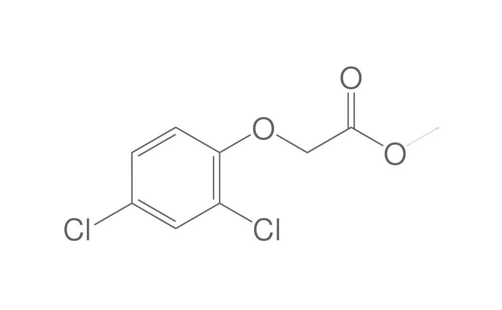 (2,4-Dichlorophenoxy)acetic acid methyl, ester, 2 g - Luminix Health