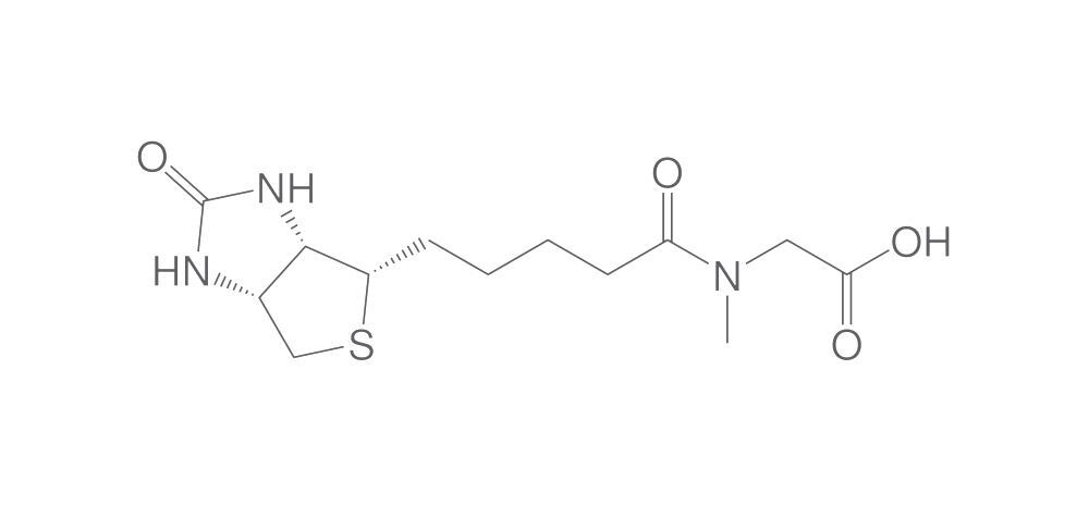 (+)-Biotin-sarcosine, min. 95 %, 500 mg - Luminix Health