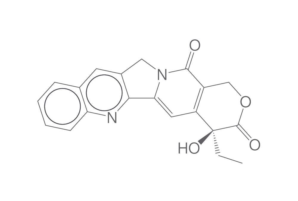 (S)-(+)-Camptothecin, min. 95 %, 10 g - Luminix Health