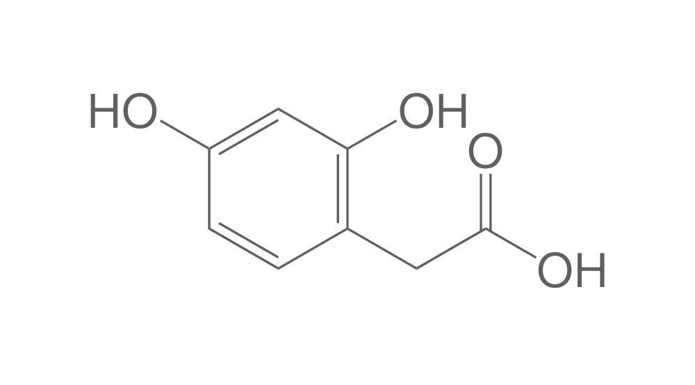 2,4-Dihydroxyphenylacetic acid, min. 95 %, 10 mg - Luminix Health