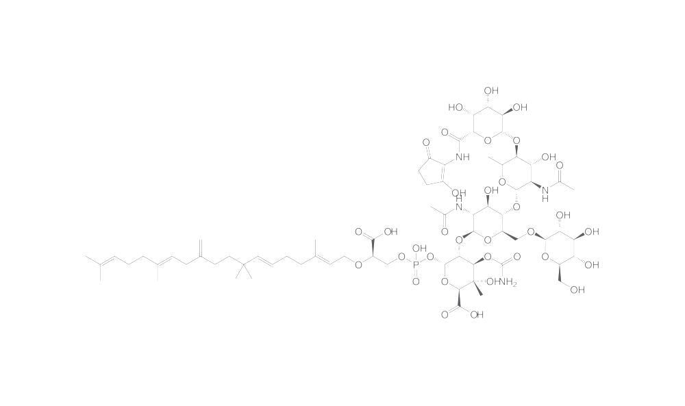 Flavomycin, min. 7 %, 8% premix, 50 g - Luminix Health