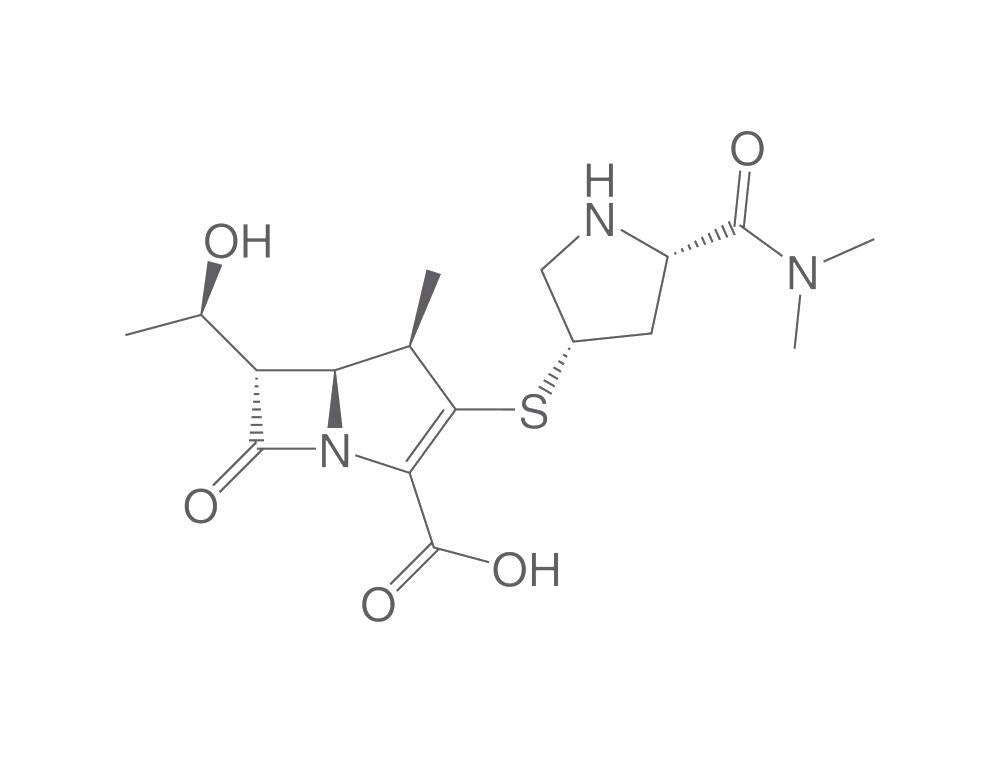 Meropenem, 1 g - Luminix Health