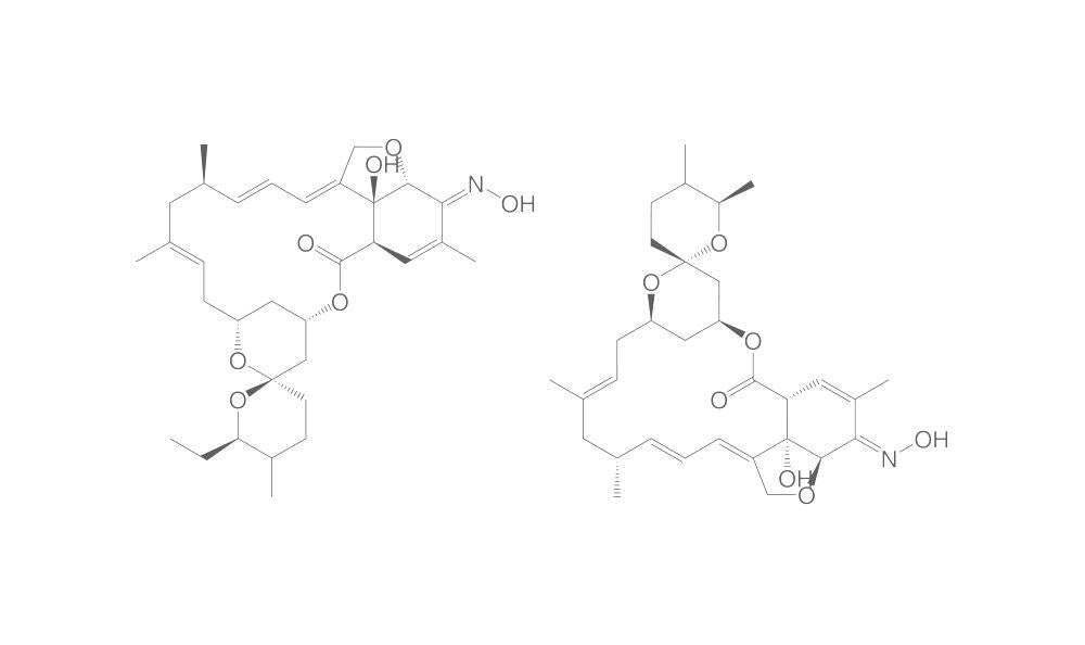 Milbemycin oxime, min. 95 %, 500 mg - Luminix Health