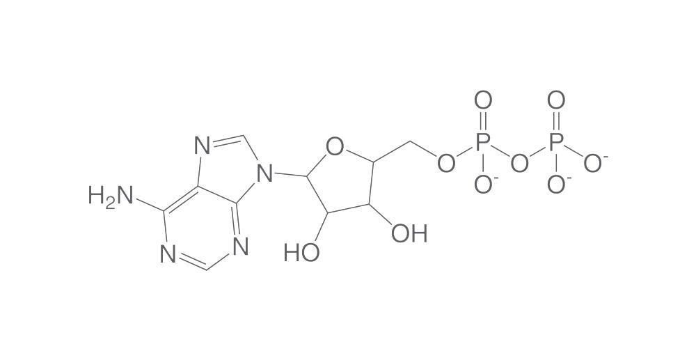 ADP monosodium salt, min. 95 %, BioScience Grade, 100 mg - Luminix Health