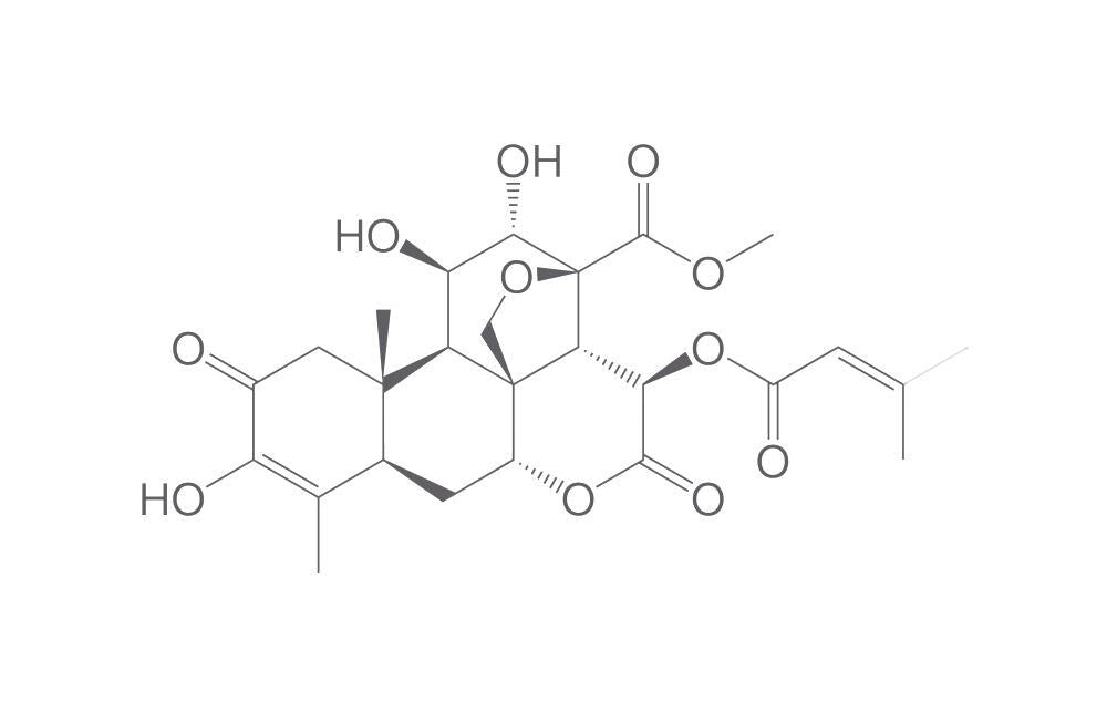 Brusatol, BioScience Grade, 10 mg - Luminix Health