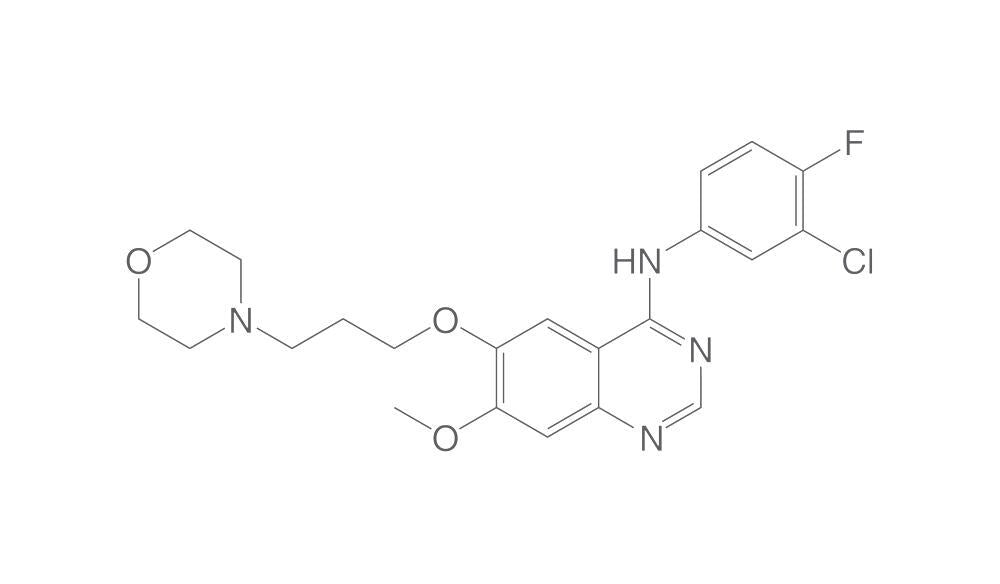 Gefitinib, BioScience Grade, 10 mg - Luminix Health