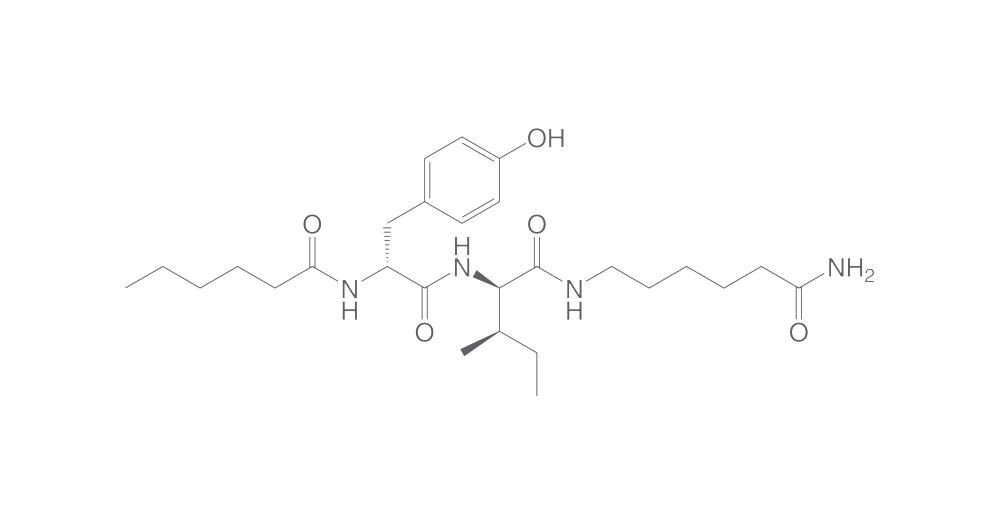 Dihexa, min. 95 %, 100 mg - Luminix Health