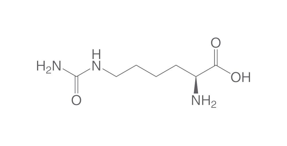 L-Homocitrulline, min. 95 %, BioScience Grade, 50 mg - Luminix Health