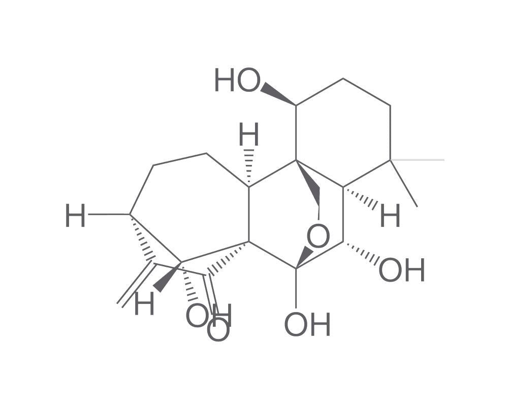 Oridonin, min. 95 %, BioScience Grade, 10 mg - Luminix Health