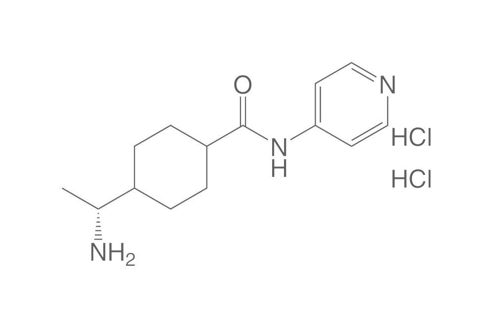 Y 27632 dihydrochloride, 50 mg - Luminix Health