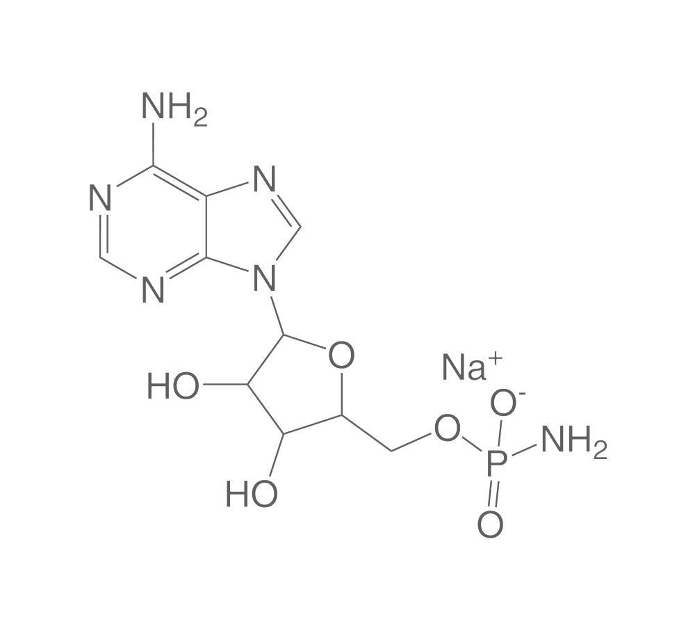 Adenosine 5'-monophosphoramidate sodium, min. 95 %, 5 mg - Luminix Health
