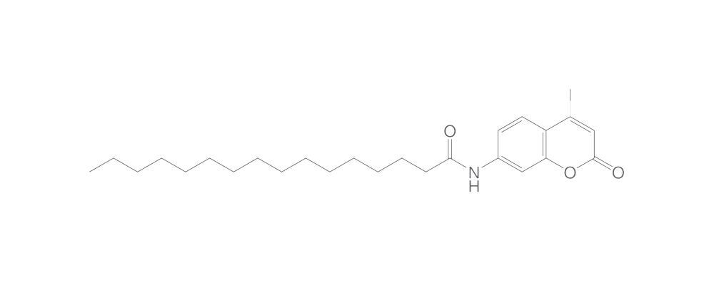 N-(4-Methyl-2-oxo-2H-chromen-7-yl)palmit, amide, 10 mg - Luminix Health