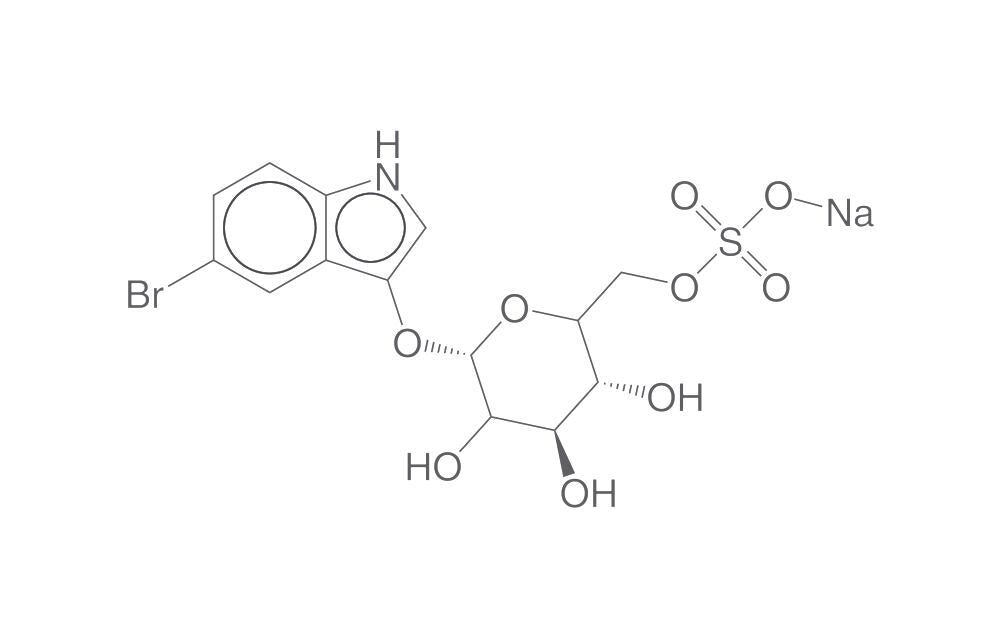 5-Bromo-3-indolyl-beta-D-galactopyranosi, de-6-sulfate sodium salt, 5 mg - Luminix Health