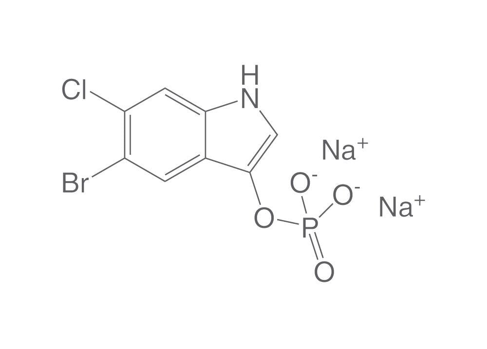 5-Bromo-6-chloro-3-indolyl phosphate dis, odium monohydrate, 2 g - Luminix Health