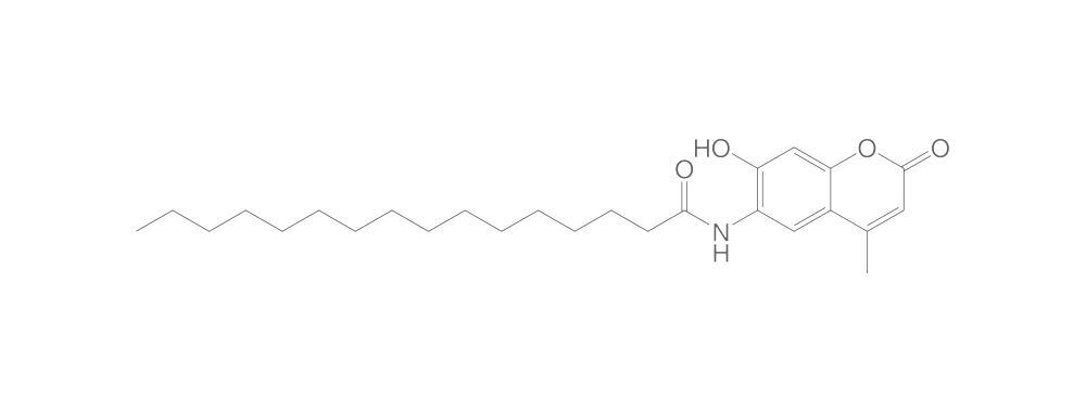 6-Hexadecanoylamino-4-methylumbelliferon, e, 25 mg - Luminix Health