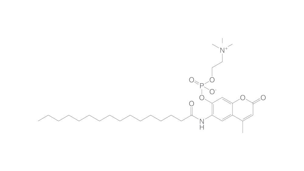 6-Hexadecanoylamino-4-methylumbelliferyl, phosphorylcholine, 1 mg - Luminix Health