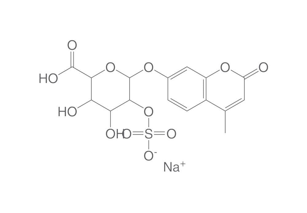 4-Methylumbelliferyl a-L-idopyranosiduronic acid 2-sulphate disodium salt, 5 mg - Luminix Health