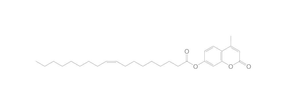 4-Methylumbelliferyl oleate, min. 95 %, 250 mg - Luminix Health