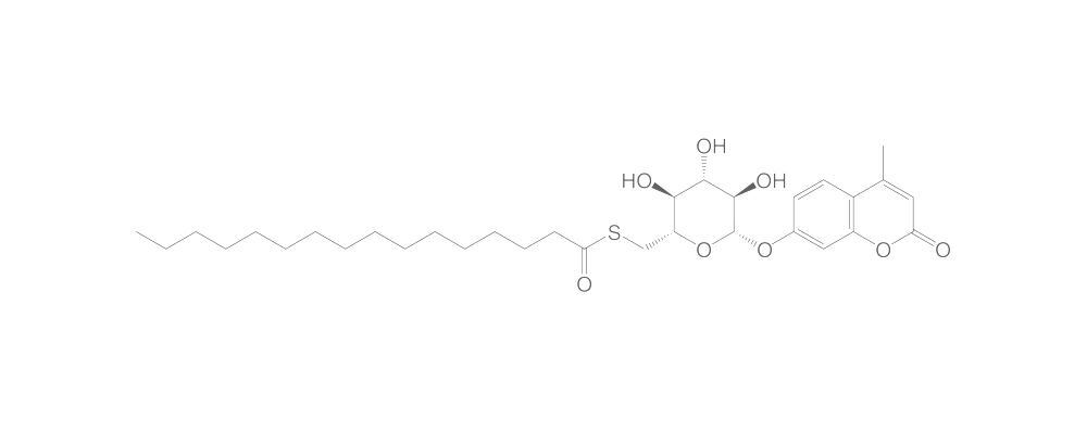 4-Methylumbelliferyl 6-thio-palmitate-b-, D-glucopyranoside, 1 mg - Luminix Health