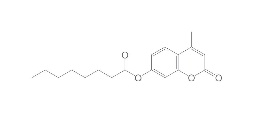 4-Methylumbelliferyl caprylate, 5 g - Luminix Health