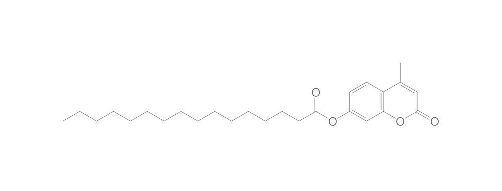 4-Methylumbelliferyl palmitate, min. 95 %, 1 g - Luminix Health