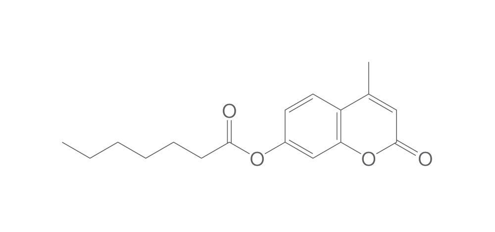 4-Methylumbelliferyl heptanoate, min. 95 %, 1 g - Luminix Health