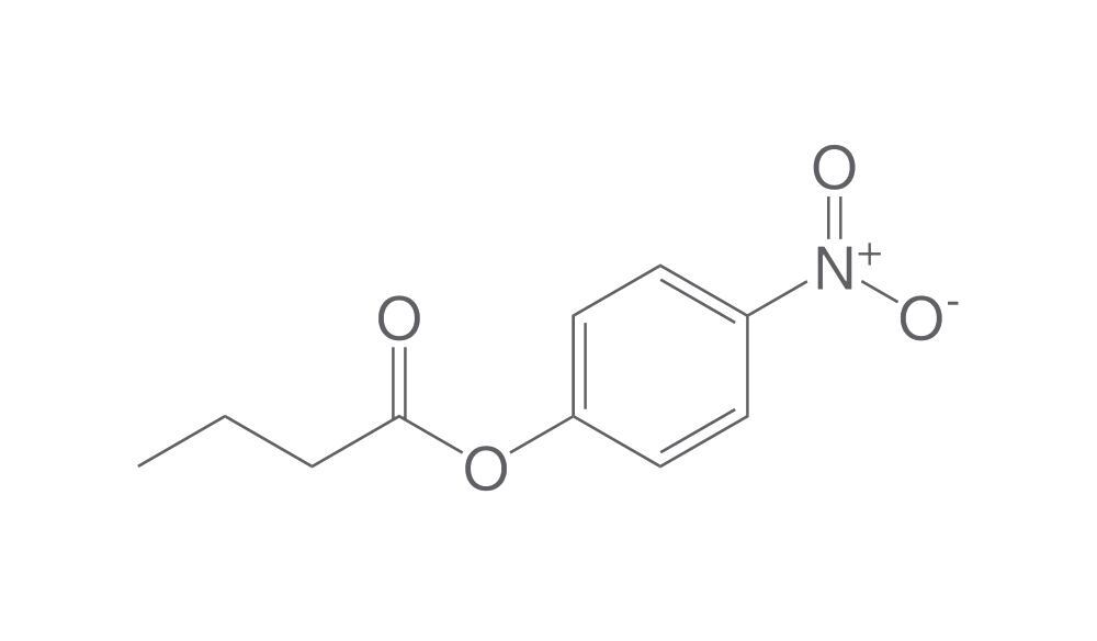4-Nitrophenyl butyrate, min. 95 %, 5 g - Luminix Health