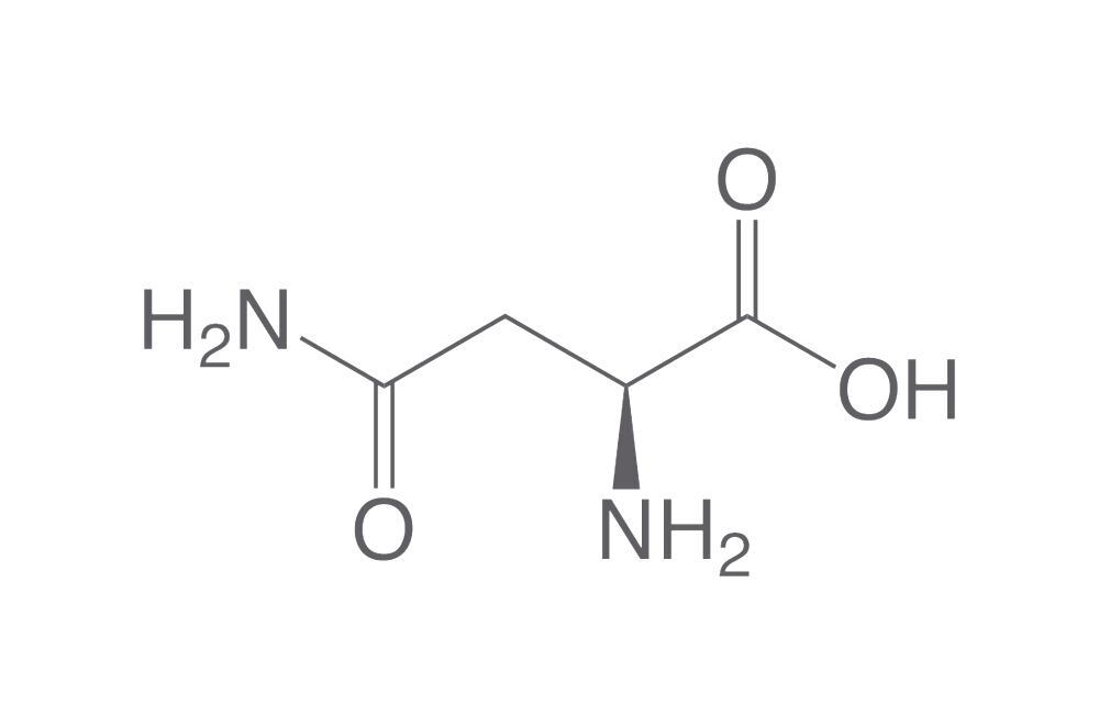 L-Asparagine, anhydrous, 1 kg - Luminix Health