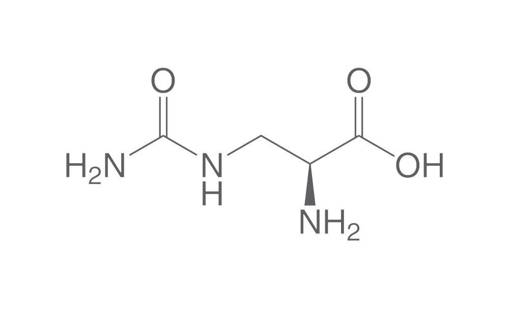 L-Albizziin, min. 95 %, 500 mg - Luminix Health