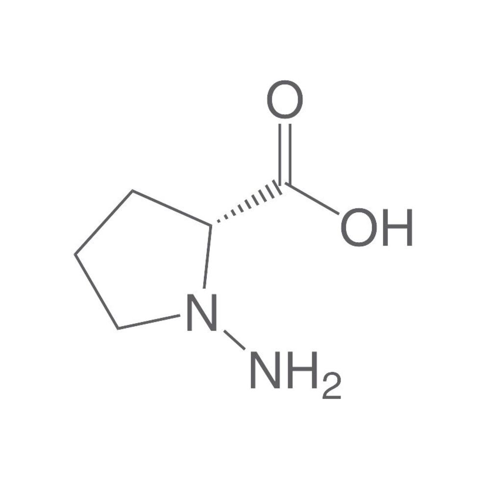 N-Amino-D-proline, min. 95 %, 5 mg - Luminix Health