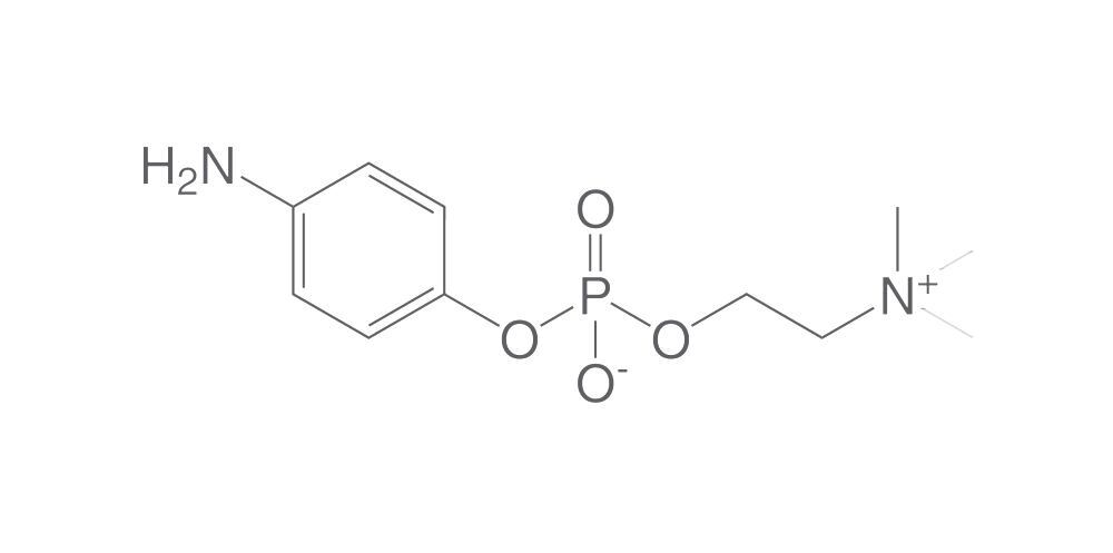 4-Aminophenylphosphorylcholine, min. 98 %, 10 mg - Luminix Health