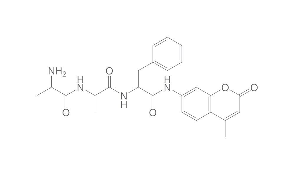 H-Ala-Ala-Phe-AMC, 10 mg - Luminix Health