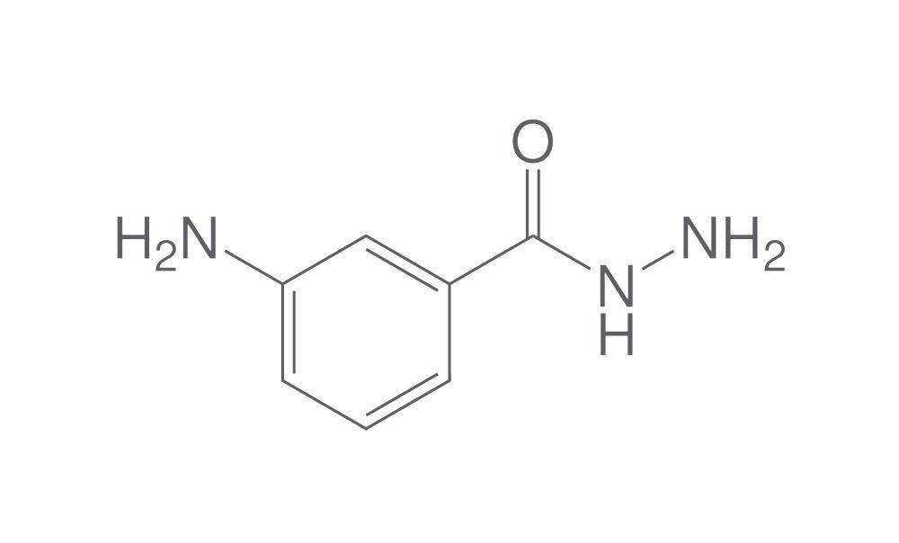 3-Aminobenzhydrazide, min. 95 %, 5 g - Luminix Health