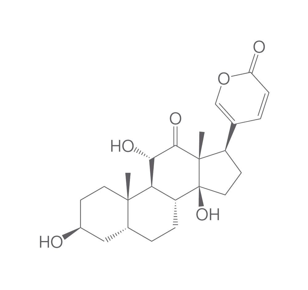 Arenobufagin, min. 95 %, 10 mg - Luminix Health