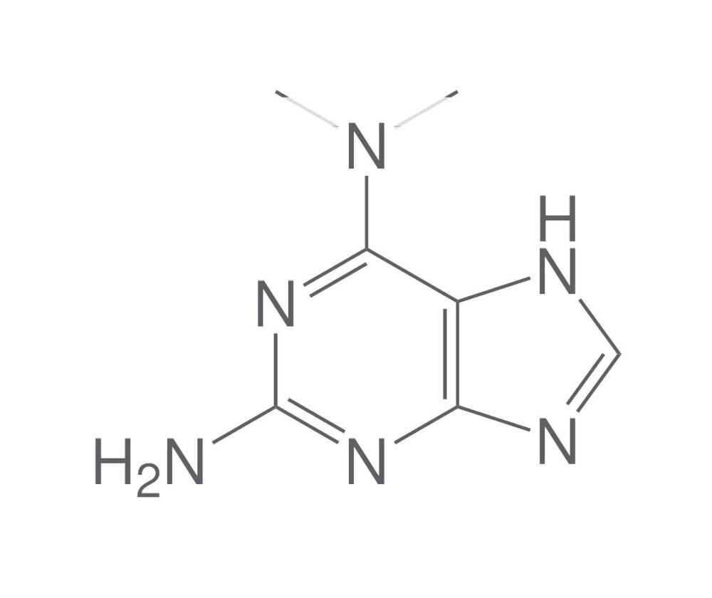 N6,N6-Dimethyl-9H-purine-2,6-diamine, min. 95 %, 50 mg - Luminix Health