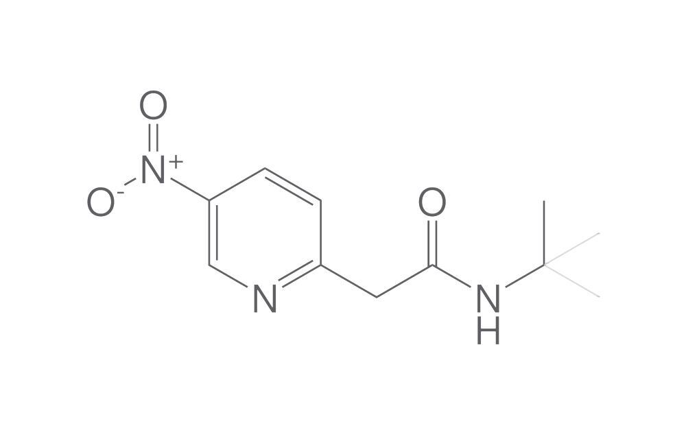 N-tert-Butyl-2-(5-nitropyridin-2-yl)acet, amide, 500 mg - Luminix Health